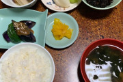 韓国人「今夜は日本の家庭料理を楽しみました　がんばって作ったよ！」
