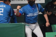 新庄ハムが来たーっ!! 直近10試合7勝3敗で4位西武に1・5ゲーム差じわり　次々と主力欠くも快進撃