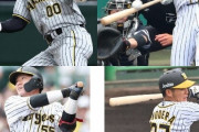 【悲報】阪神タイガースの現役ドラフト候補、山本泰寛、北條史也、陽川尚将、小野寺暖の4人に絞られる