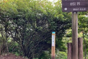 【散歩徒歩旅】武蔵横手駅から伊豆ヶ岳（標高851m）経由で秩父羊山公園見晴らしの丘まで歩く