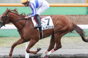 【競馬予想】[2]第26回 ユニコーンステークス(G3) /2021