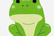 【画像】この変なカエルワロタｗｗｗｗｗｗ