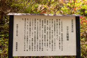 神社とか公園とかにある、全く興味ない歴史とか書いてある看板とかぼーっと読むのが好きなんやが