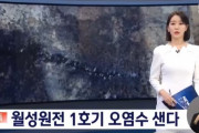 【悲報】韓国人「韓国の原発に亀裂が出来て放射能漏れを起こしてしまう‥」床が割れて放射能汚染水が毎日7リットル流れ出す　韓国の反応　