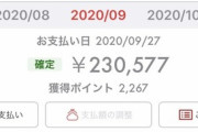【悲報】浪費家ワイさん、９月のクレジット請求が20万超えで無事死亡。誰が払えるんやこんなん
