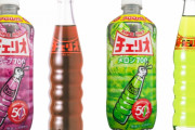 チェリオ(ライフガード有ります、500mlも100円、種類も豊富です)←こいつが天下を取れない理由