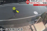 クリスマスを前に…家に飾られたリース盗む　子どももがっくり　防犯カメラが捉えた犯行の一部始終
