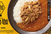 吉野家の魯珈カレーとかいうマズいやつｗｗｗｗｗ