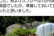 【どうしこういうことするん？】薪ストヤ（公式）「テント漁ってる熊いたのでスプレーで撃退した」  [866556825]