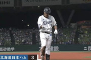 【vs.西武】日ハム・ポンセ、3回に愛斗の2点タイムリーツーベースで同点に追いつかれる