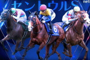 セントウルステークス(G2).京成杯AH(G3)