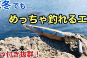 冬の釣り初心者必見！厳しい環境でも釣果アップのために必要な3つのことは！