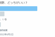 【悲報】サッカー日本代表の左サイド…「三笘と南野、どっちがいい？」アンケートした結果ｗｗｗｗｗｗｗｗ
