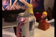 【動画】インコ、笑わせにくるｗｗｗ