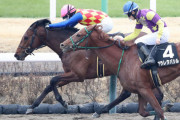 【伏竜S】逃走Ｖのテーオーパスワードはケンタッキーダービーも視野