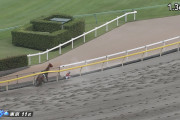 【競馬】アシャカトブ戸崎圭太さん、1位入線後に落馬