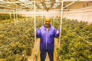 【大麻】マイク・タイソン(53)、メラワーナ栽培で大儲け。売り上げは月5,000万円以上