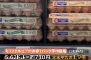 アメリカでも「卵」高騰　1パック730円…“エッグフレーション”の現場は