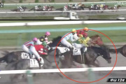 【悲報】中山最終レースで断然1番人気のサトノテラス競走中止、予後不良か…