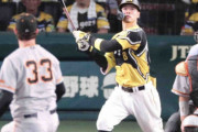 11号ソロの阪神・佐藤輝　広島との首位攻防戦へ決意「ホームランは流れ変えると思う。頑張って打ちたい」