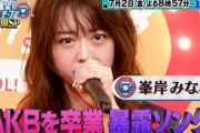 【元AKB48】峯岸みなみさん「卒業してAKBの固定給無くなったから不安しかない、事務所からの給料は歩合制にした」