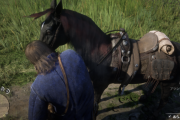 【馬】オープンワールドゲームの馬、どいつもこいつもアホすぎ問題