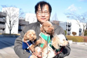 【異例】茨城県警、トイプードルを警察犬に任命