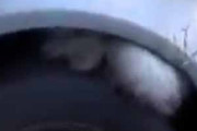 【ネコ】 車で出かけようとしたらタイヤの所に猫が隠れていた。出てきなさい。いやにゃぁ！ → 猫はこうなる…