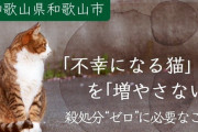 【ヤバイ】猫の殺処分ゼロを目指してふるさと納税でお金をあつめた和歌山市、集まったお金を他の事に使い大炎上！！！