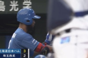 【vs.西武】日ハム、アルカンタラの犠牲フライで勝ち越しに成功！