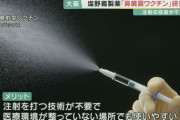 【新型コロナ】塩野義製薬、「鼻噴霧ワクチン」の研究スタート　薬の成分を鼻の粘膜に吹き入れて免疫