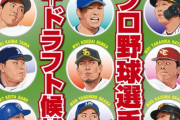 画像　2021年プロ野球12球団それぞれの今年の顔が決まる