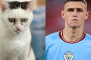 フィル・フォーデン？イギリスのサッカーファンが釘付けになった激似の猫