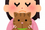 【画像】猫飼ってる奴の8割がやることwwwwwwwww