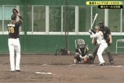 【GIF】2015年の藤浪(14勝7敗2.40)と2019年の藤浪を比較wwwwww