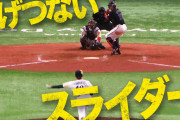 阪神新加入、渡邊雄大のトリセツがこちら