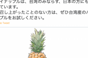 【中国が台湾産パイナップル禁輸】桃園市・鄭市長が日本語でツイート「決してたじろぎません」⇒日本から支援の声続出