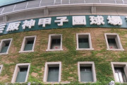 日本三大高校野球の強豪校「大阪桐蔭」「横浜高校」