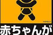車「赤ちゃんが乗っています❤」←だから何？