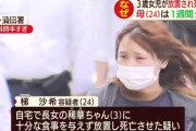 ８日間自宅に放置された３歳女児死亡　母親は鹿児島に旅行