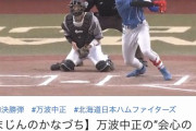 万波中正のホームラン、1日で41万再生ｗｗｗｗｗｗ