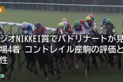 ラジオNIKKEI賞でバドリナートが見せ場4着 コントレイル産駒の評価と適性