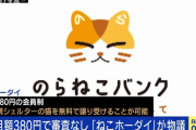 【悲報】大炎上した猫を借りられるサブスク「ねこホーダイ」運営会社、終わる