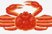 北海道の漁師「助けて、大量発生中のオオズワイガニ投げ売りしてるのに誰も気がついてないの！」