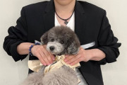 宇野昌磨 選手がEmmaちゃんに肩揉みしてあげている写真を「愛犬の日」に特別に公開