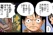 彡(ﾟ)(ﾟ)「ワンピースのこのシーンみんな勘違いしてるで」
