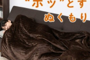 電気毛布､なにもかも最高すぎる????