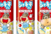 【！？】ガリガリ君のお姉さん“シャキ子さん”のアイスバーが10月12日から登場ｗｗｗ