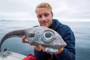 目玉の大きさがすごい！巨大な目を持つエイリアンのような深海魚が釣り上げられる（ノルウェー）