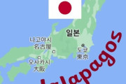 韓国人「韓国人は日本は世界から孤立していると言うが…」